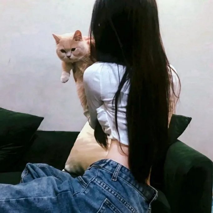 紫檀巷